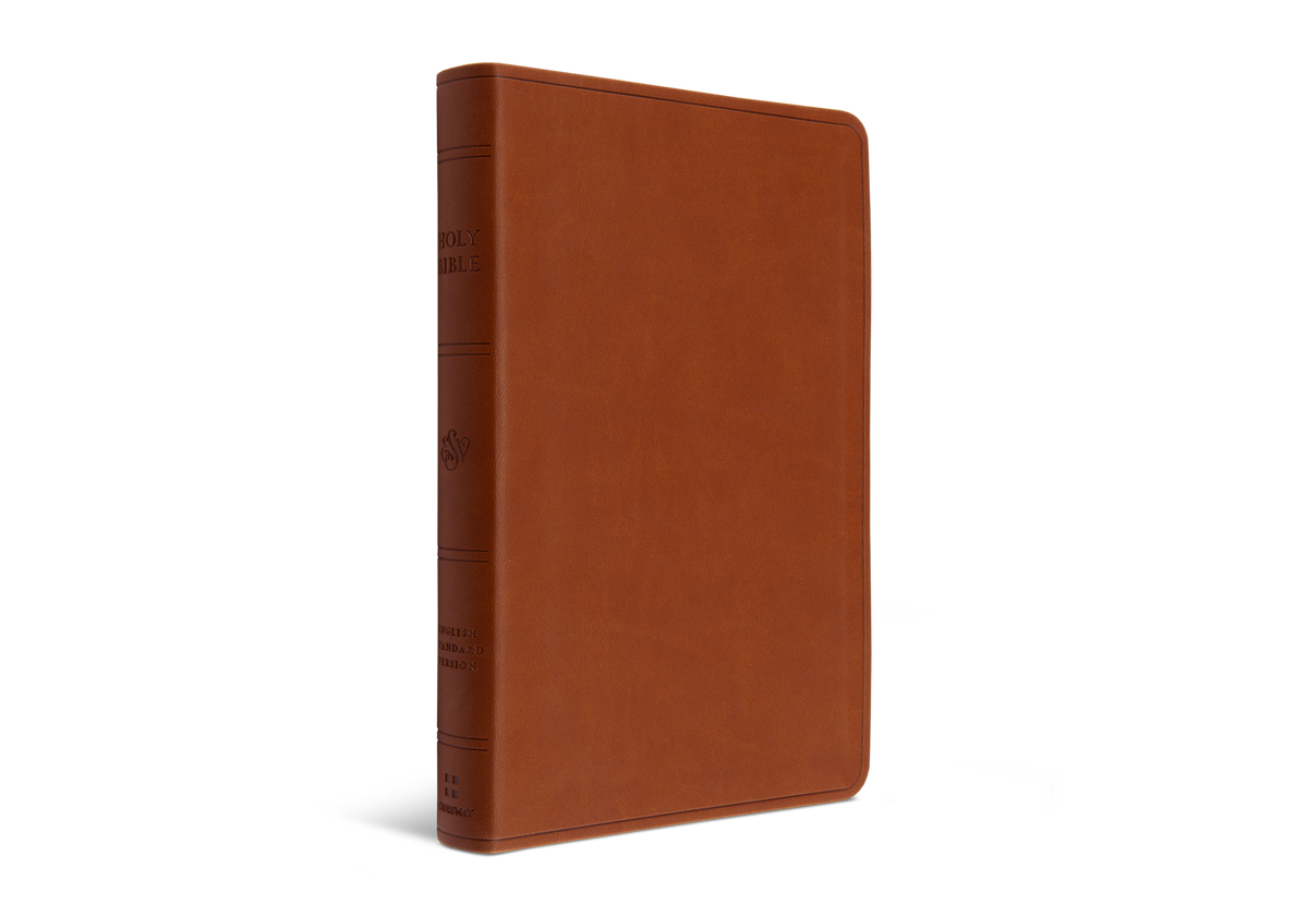 ESV Large Print Value Thinline Bible, TruTone Camel
