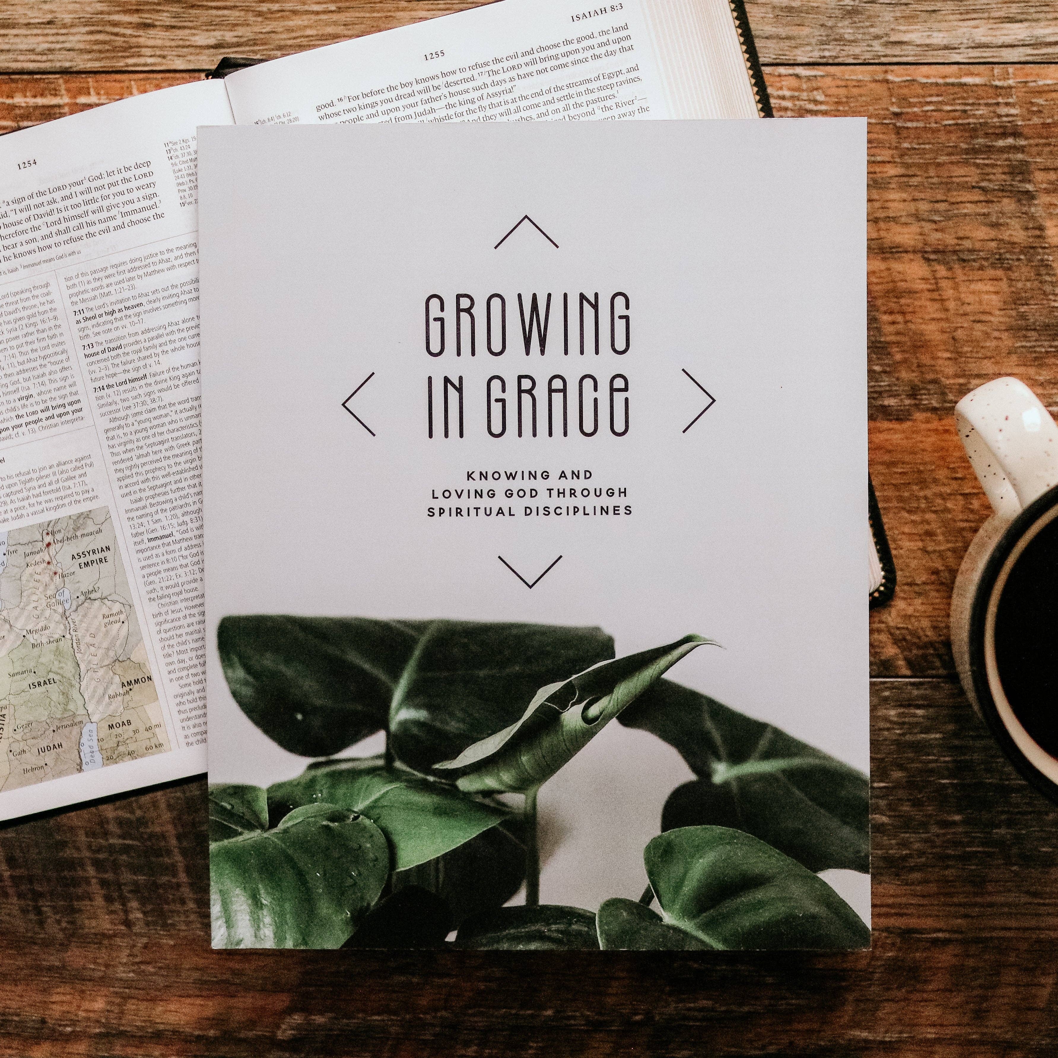 Growing in Grace Men's Bible Study