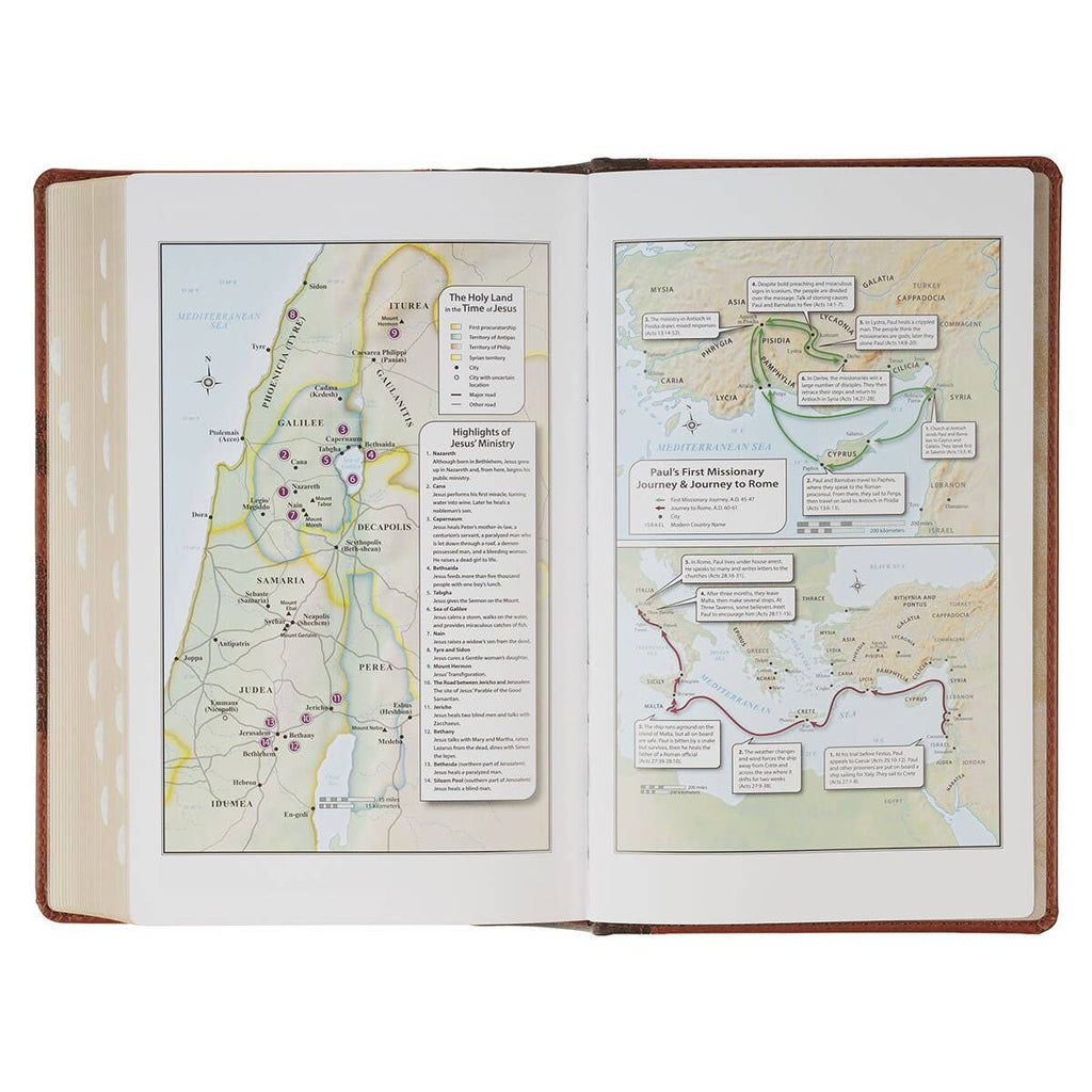 KJV Bible Giant Print Standard-size Faux Leather HC Tree