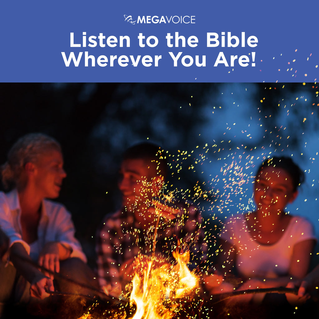 Biblica Anglicized NIV Silver Edition image 8
