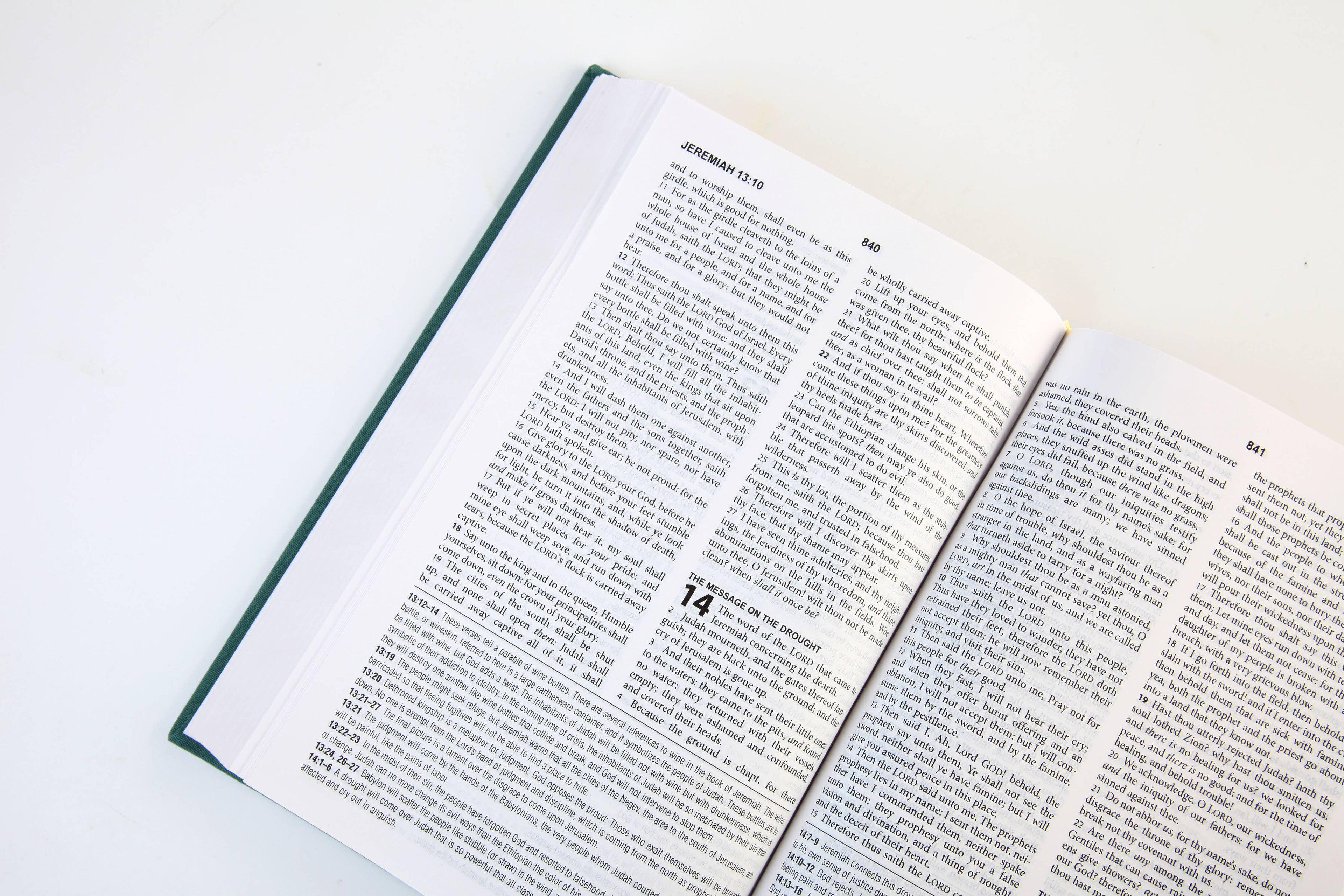 The KJV Study Bible [Sage Bouquet]